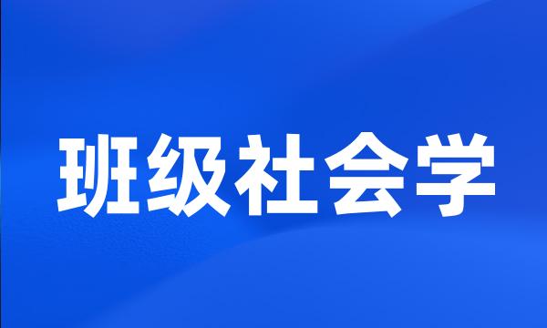 班级社会学