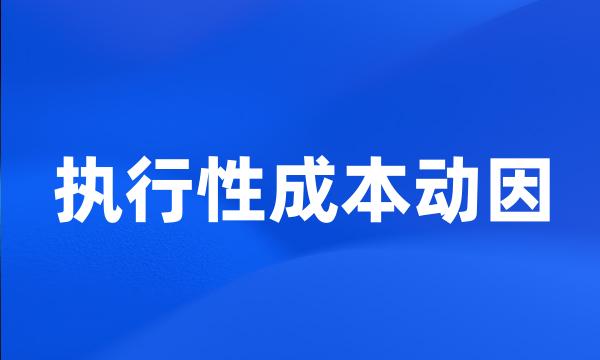 执行性成本动因