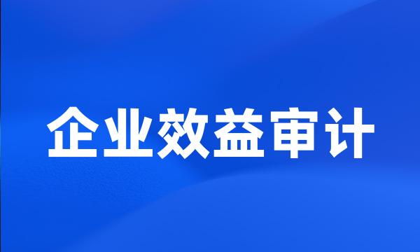 企业效益审计