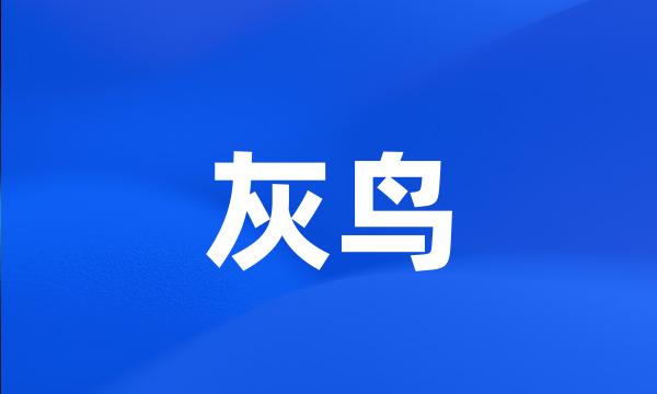 灰鸟