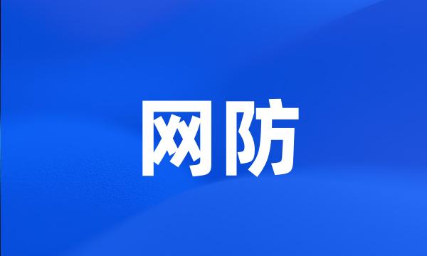 网防