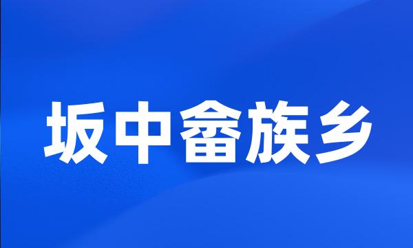 坂中畲族乡