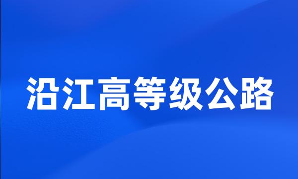 沿江高等级公路