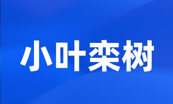 小叶栾树