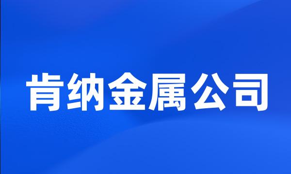 肯纳金属公司