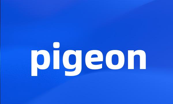 pigeon