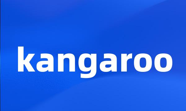 kangaroo