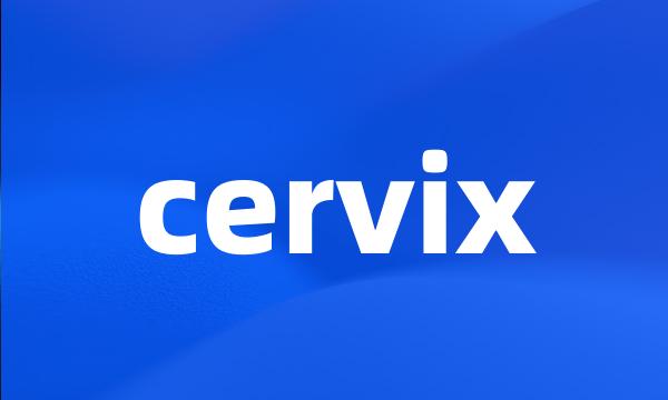 cervix