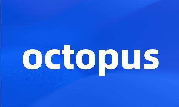 octopus