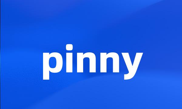 pinny