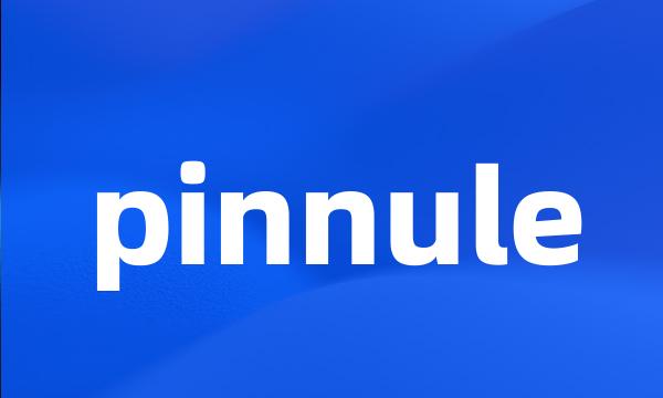 pinnule