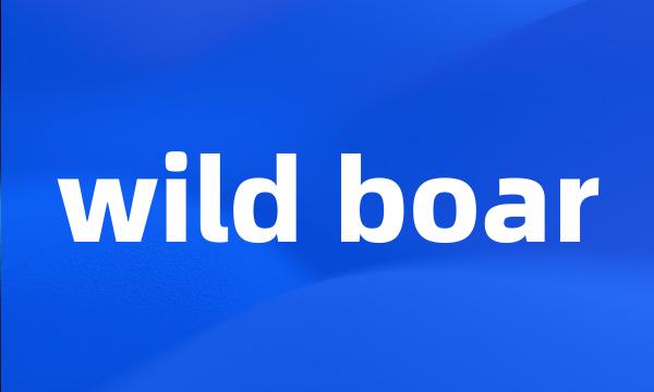 wild boar