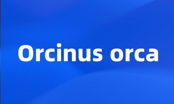 Orcinus orca