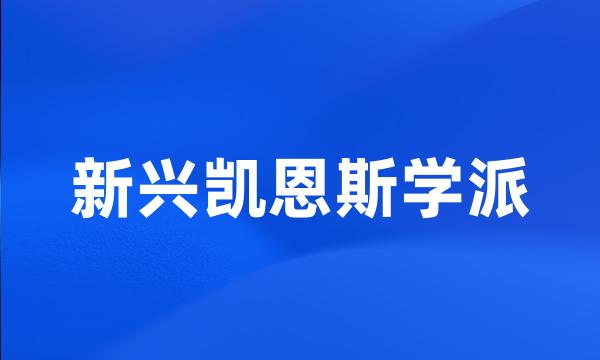 新兴凯恩斯学派