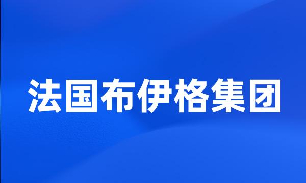 法国布伊格集团