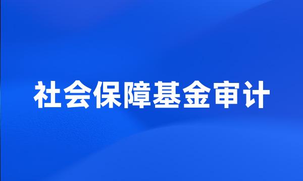 社会保障基金审计