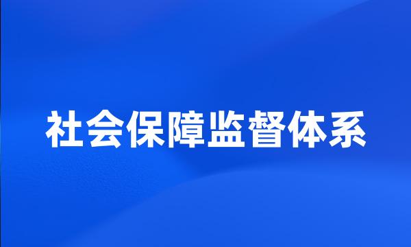 社会保障监督体系