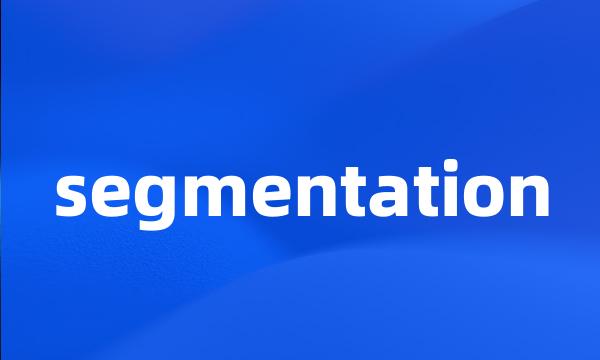 segmentation