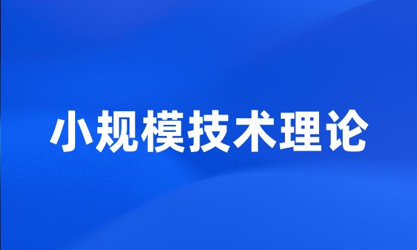 小规模技术理论