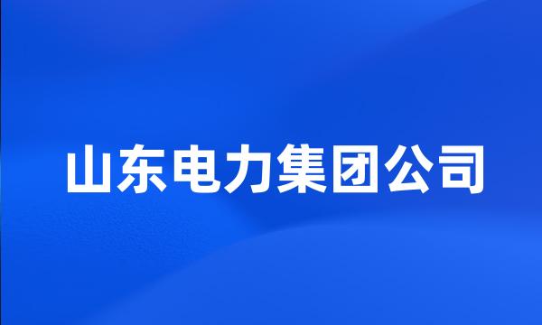 山东电力集团公司