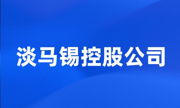 淡马锡控股公司