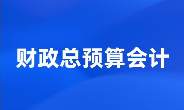 财政总预算会计