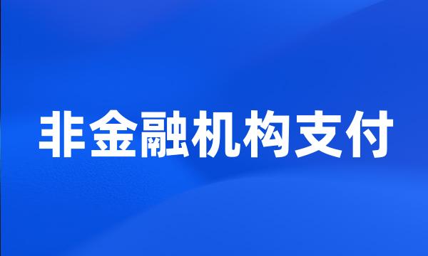 非金融机构支付