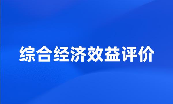 综合经济效益评价