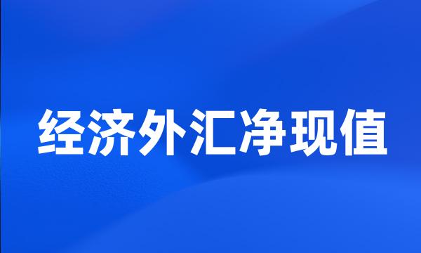 经济外汇净现值