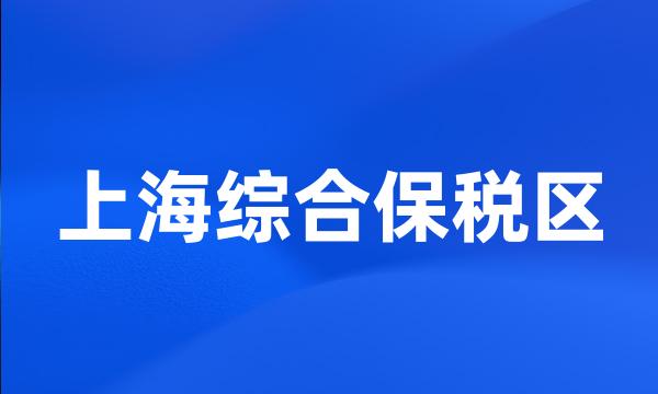 上海综合保税区