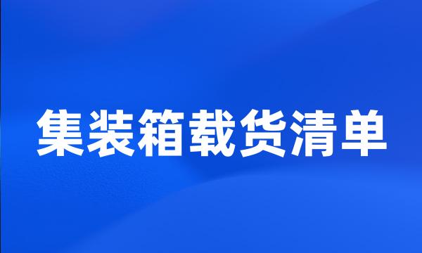 集装箱载货清单