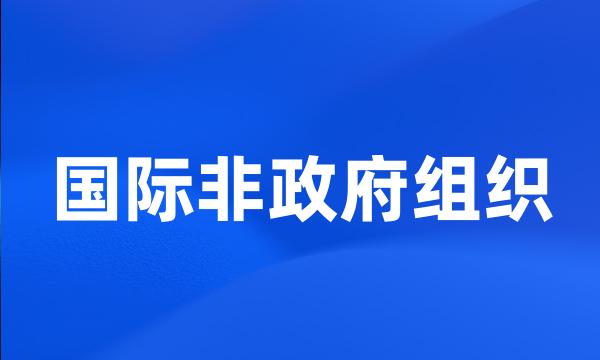 国际非政府组织