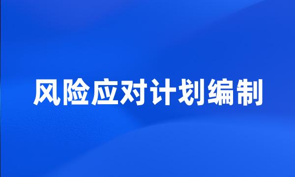 风险应对计划编制