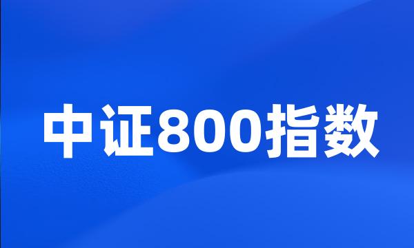 中证800指数