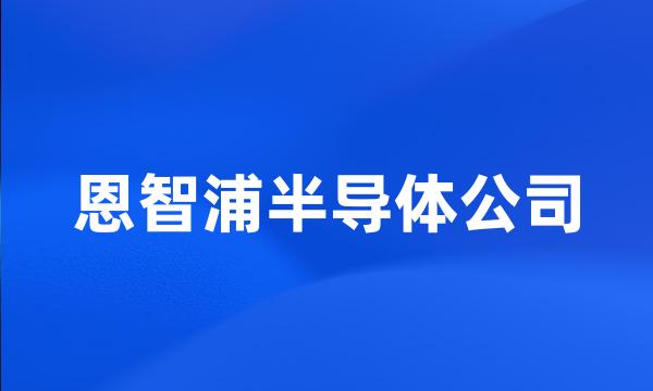 恩智浦半导体公司