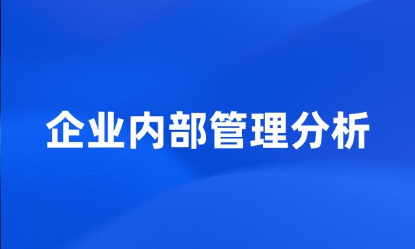 企业内部管理分析