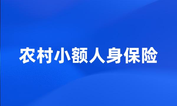 农村小额人身保险