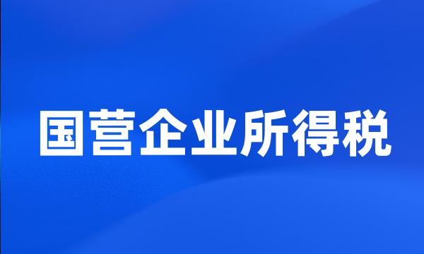 国营企业所得税