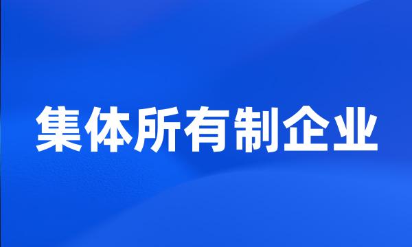 集体所有制企业