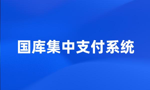 国库集中支付系统