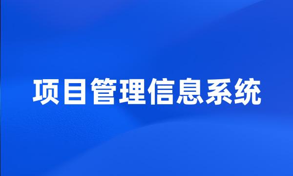 项目管理信息系统