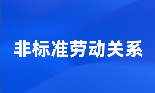 非标准劳动关系