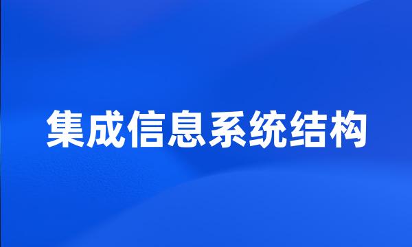 集成信息系统结构