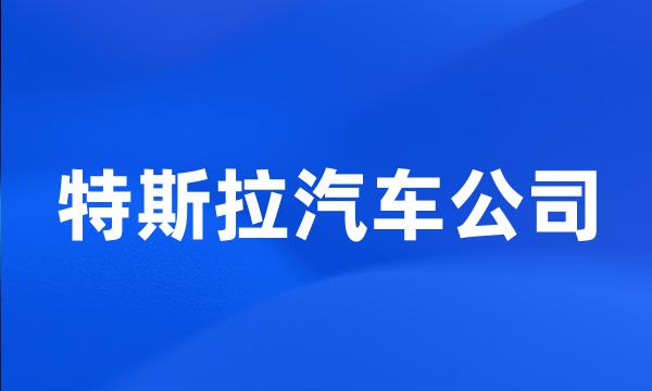 特斯拉汽车公司