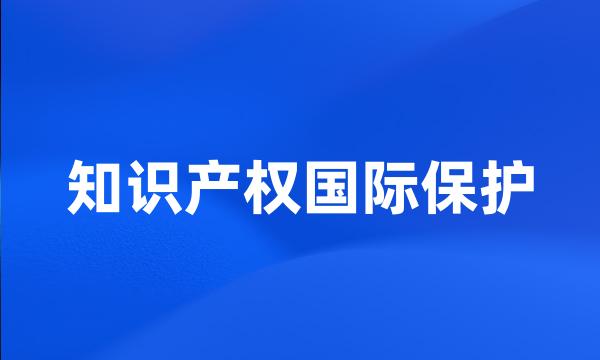 知识产权国际保护