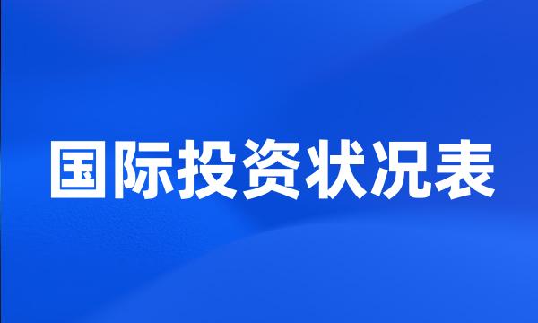 国际投资状况表