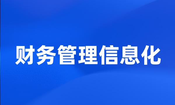 财务管理信息化