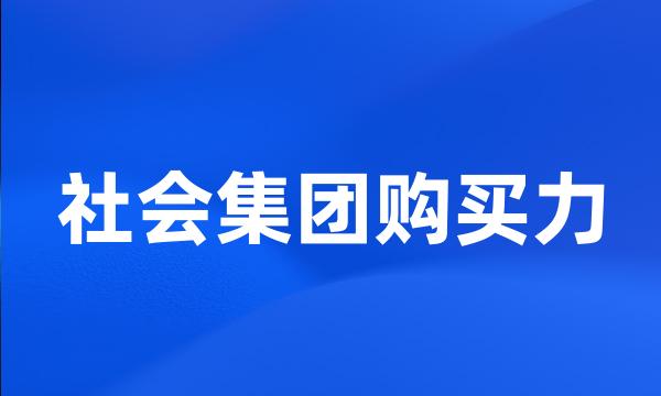 社会集团购买力