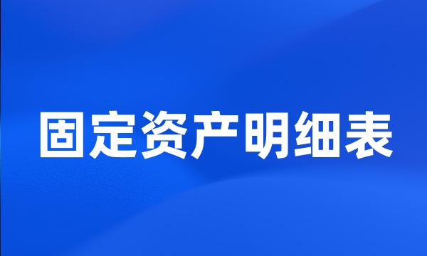 固定资产明细表