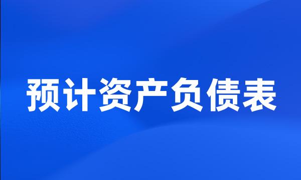 预计资产负债表